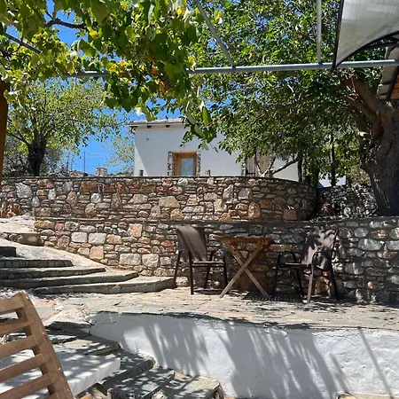 Linos Traditional * Theologos (Thasos)