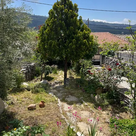 Linos Traditional Hébergement de vacances